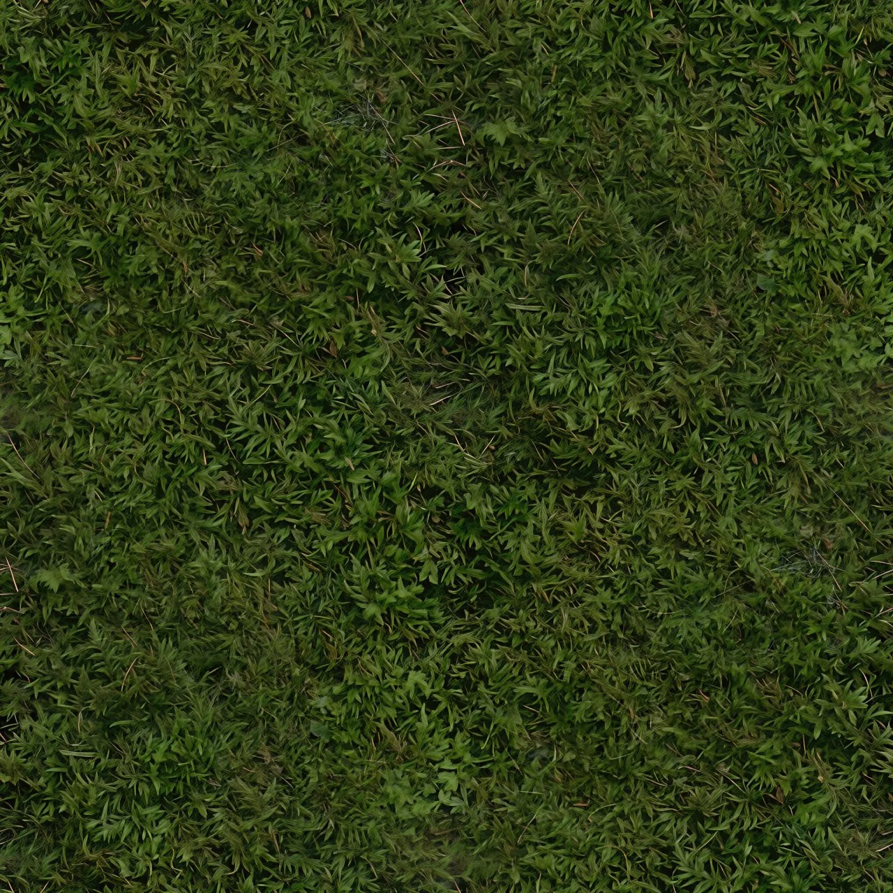 Moss PBR Texture Pack №3 (8K Resolution, tileable) — PBR texture