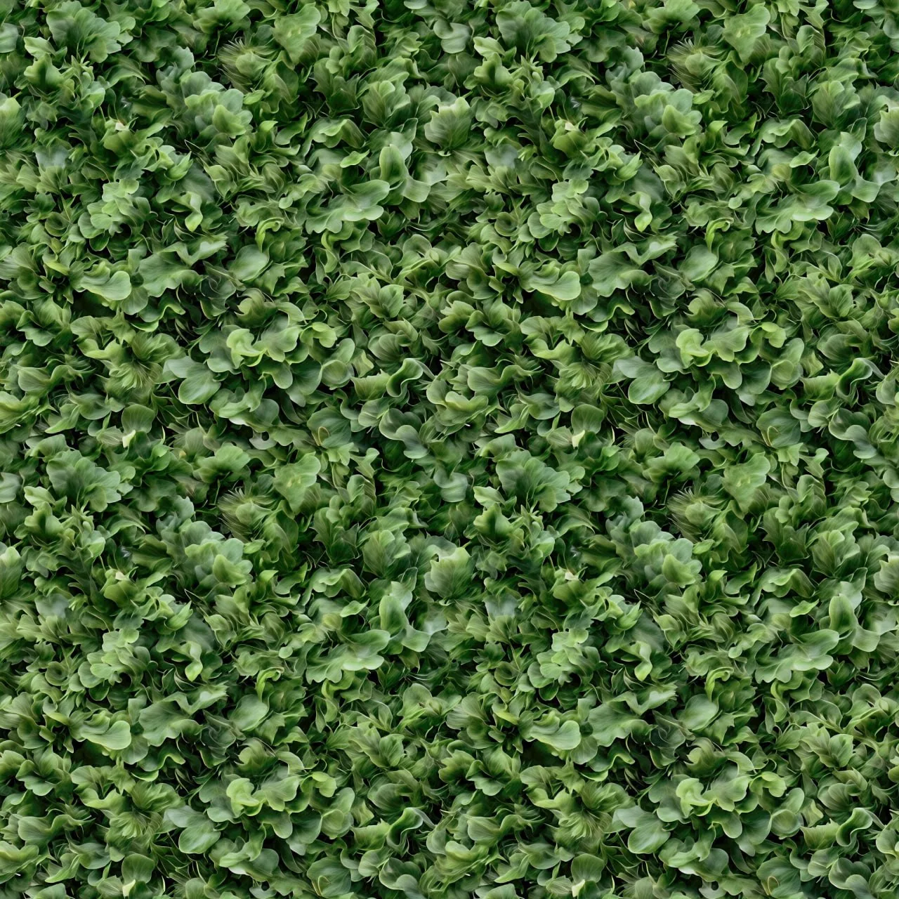 Leaves PBR Texture Pack №1 (8K Resolution, tileable) — PBR texture